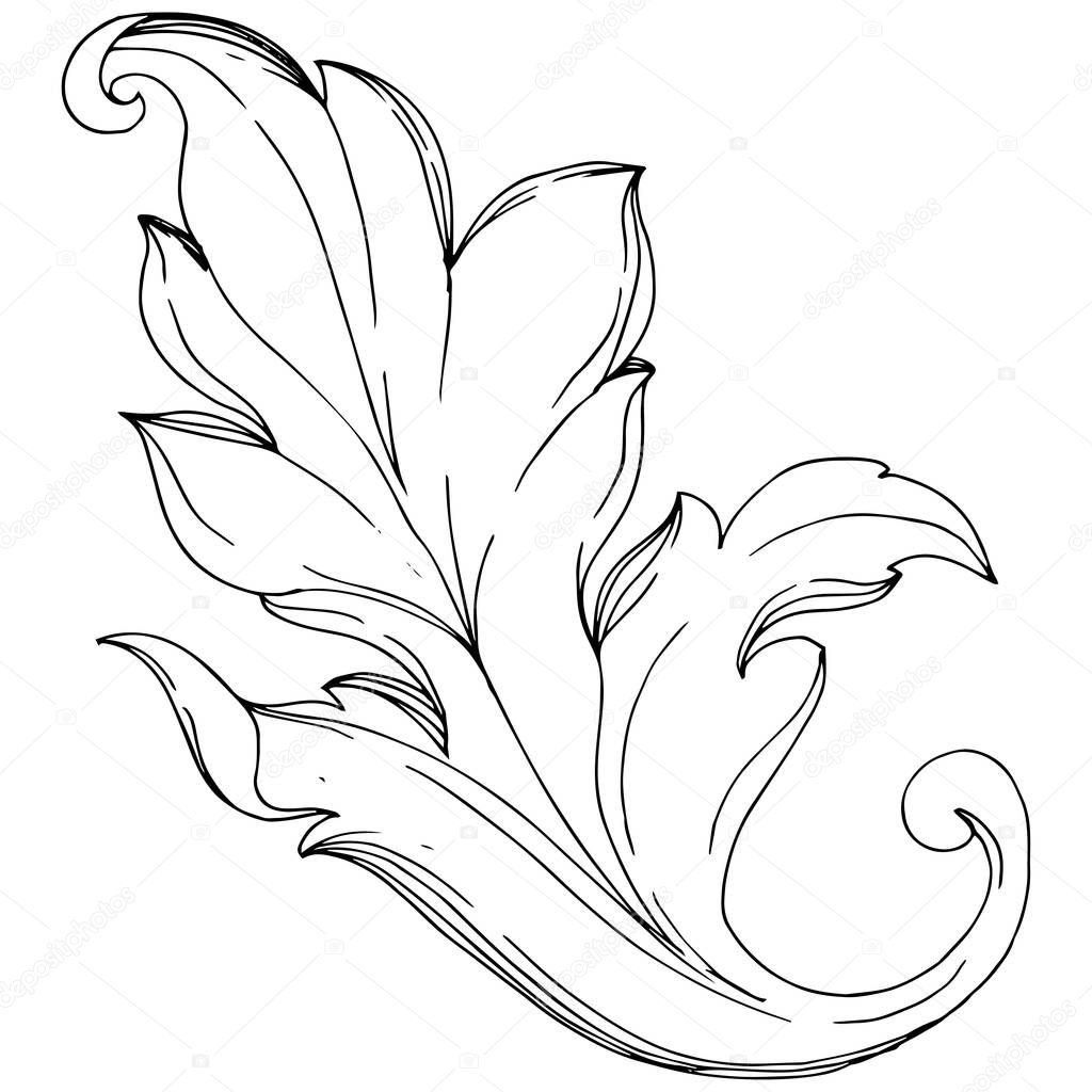 Vector Baroque monogram floral ornament. Black and white engraved ink art. Isolated ornaments illustration element.