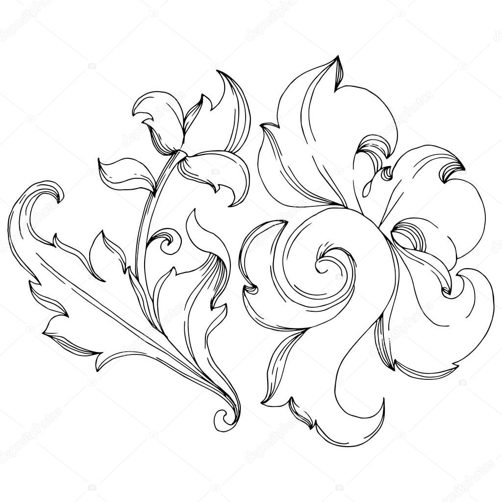 Vector Baroque monogram floral ornament. Black and white engraved ink art. Isolated ornaments illustration element.