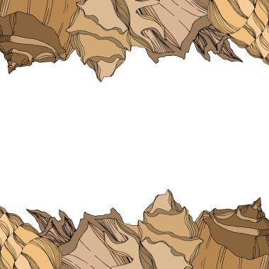 Vector Summer plaj kabuğu tropikal elementler. Kahverengi bej rengi.