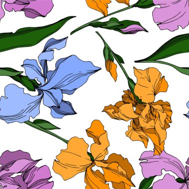 Vektör Iris çiçekli botanik çiçekleri. Siyah ve beyaz oymalı.