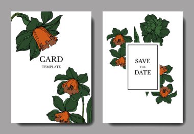 Vektör Narcissus çiçekli bitkisel çiçekler. Siyah ve Beyaz İnglia