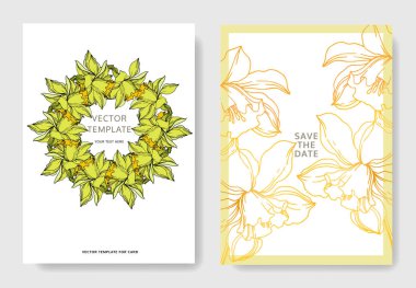 Vektör Narcissus çiçekli bitkisel çiçekler. Siyah ve Beyaz İnglia