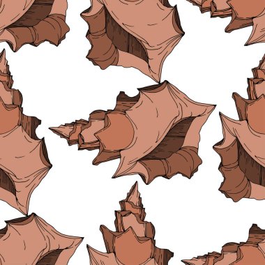 Vector Summer plaj kabuğu tropikal elementler. Siyah ve beyaz 