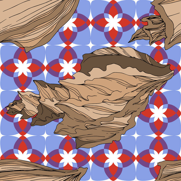 Vector Summer beach seashell tropical elements. Brown beige Engr