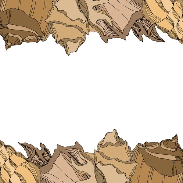 Vector Summer plaj kabuğu tropikal elementler. Kahverengi bej rengi.