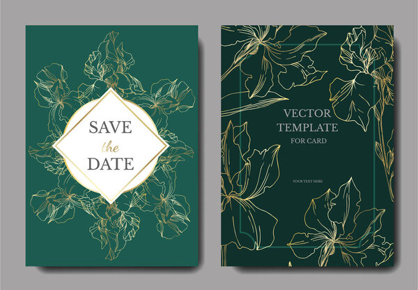 Vector Iris floral botanical flowers. Black and white engraved i