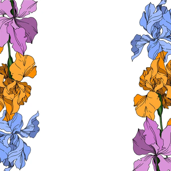 ベクトルアイリス花植物の花。黒と白のエングレービング — ストックベクタ