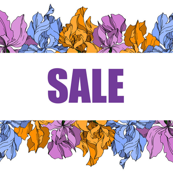 Векторные ирис цветочные ботанические цветы. Черно-белая гравировка i
