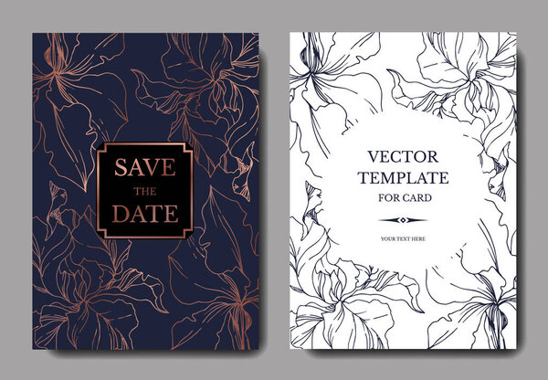 Vector Iris floral botanical flowers. Black and white engraved i