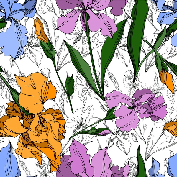 Vektorové květinové botanické květiny Iris. Černobílý rytý i — Stockový vektor