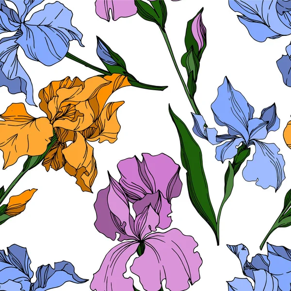 Vektor Iris virágos botanikai virágok. Fekete-fehér vésett i — Stock Vector