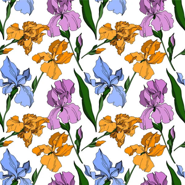 Vecteur Iris fleurs botaniques florales. Noir et blanc gravé i — Image vectorielle