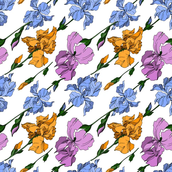 Vector Iris flores botânicas florais. Preto e branco gravado i —  Vetores de Stock