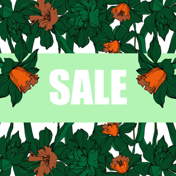 Вектор Нарцисс цветочные ботанические цветы. Чёрно-белая энгра
