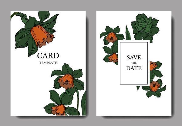 Вектор Нарцисс цветочные ботанические цветы. Чёрно-белая энгра
