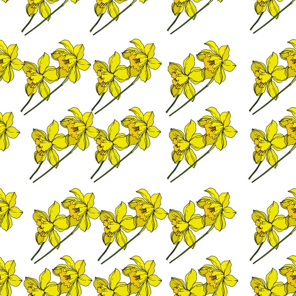 Vektor Narcissus virágos botanikai virágok. Fekete-fehér engra — Stock Vector