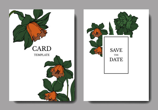 Вектор Нарцисс цветочные ботанические цветы. Чёрно-белая энгра
