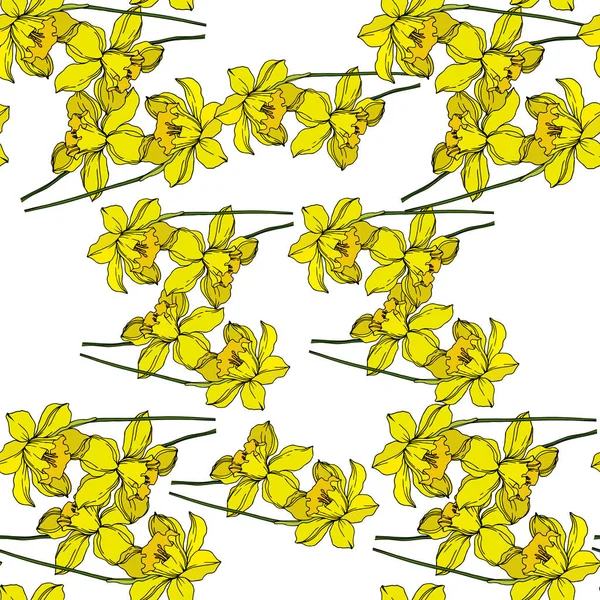 Vector Narcissus flores botánicas florales. Engra blanco y negro — Vector de stock