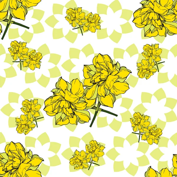 Vektor Narcissus blommiga botaniska blommor. Svartvitt engra — Stock vektor