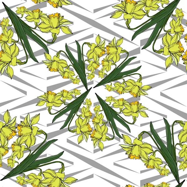 Vector Narcissus bloeiende botanische bloemen. Zwarte en witte engra — Stockvector