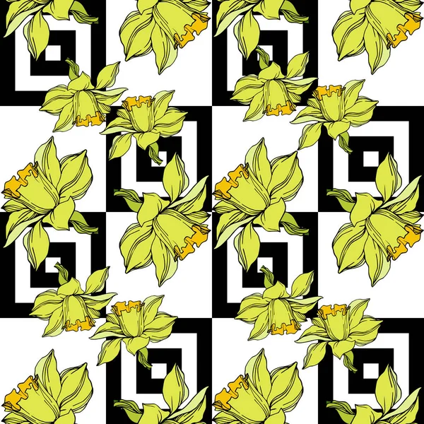 Vector Narcissus flores botánicas florales. Engra blanco y negro — Vector de stock