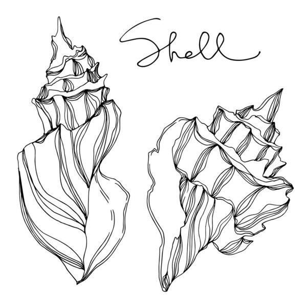 Летний пляж "Вектор". Черное и белое
 