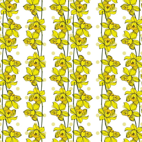 Vector Narcissus flores botánicas florales. Engra blanco y negro — Vector de stock