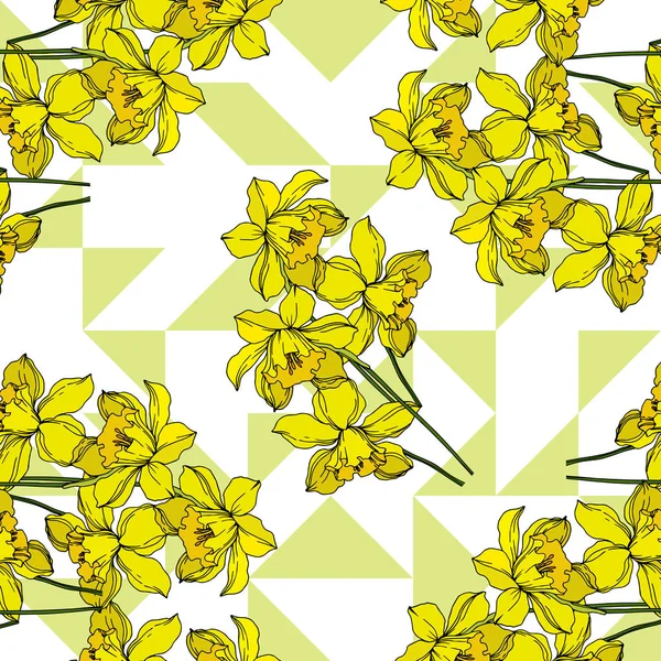 Vector Narcissus bloeiende botanische bloemen. Zwarte en witte engra — Stockvector