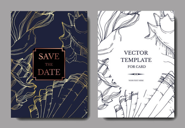 Векторная ракушка Саммер Бич. Черно-белая гравировка
. 