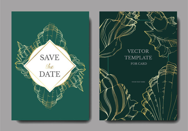 Векторная ракушка Саммер Бич. Черно-белая гравировка
. 