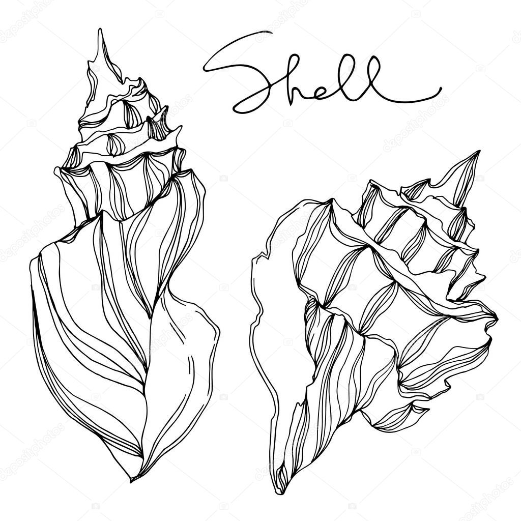 shell #hashtag