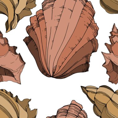 Vector Summer plaj kabuğu tropikal elementler. Siyah ve beyaz 