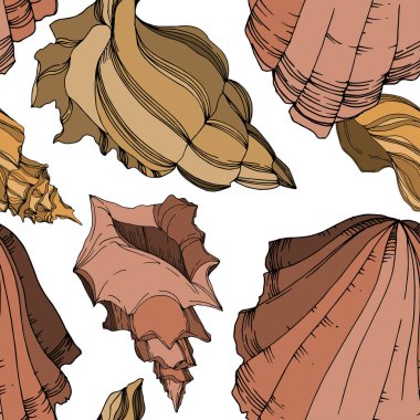 Vector Summer plaj kabuğu tropikal elementler. Siyah ve beyaz 