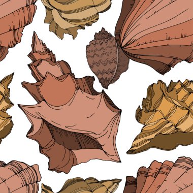 Vector Summer plaj kabuğu tropikal elementler. Siyah ve beyaz 