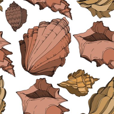 Vector Summer beach seashell tropical elements. Black and white  clipart