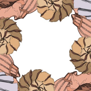 Vector Summer plaj kabuğu tropikal elementler. Siyah ve beyaz 