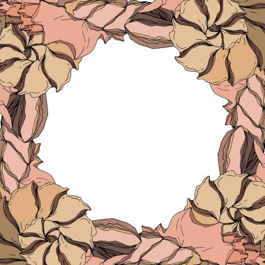 Vector Summer plaj kabuğu tropikal elementler. Siyah ve beyaz 