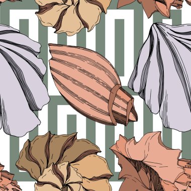 Vector Summer plaj kabuğu tropikal elementler. Siyah ve beyaz 