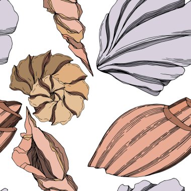 Vector Summer plaj kabuğu tropikal elementler. Siyah ve beyaz 