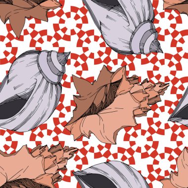 Vector Summer plaj kabuğu tropikal elementler. Siyah ve beyaz 