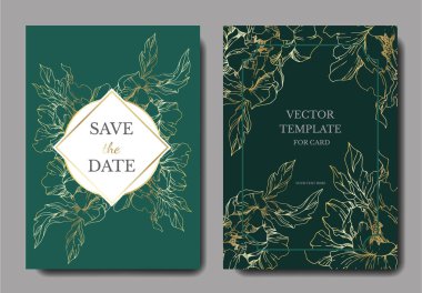 Vektör Şakayık Çiçek Botanik Çiçekleri. Siyah ve beyaz oymalı 