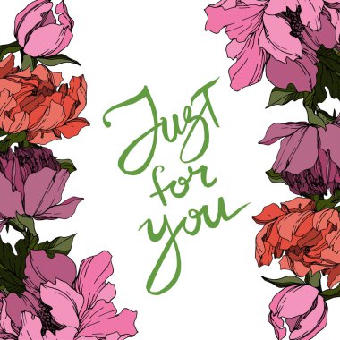 Vektör Şakayık Çiçek Botanik Çiçekleri. Siyah ve beyaz oymalı 