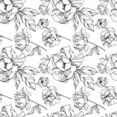 Vektör Şakayık Çiçek Botanik Çiçekleri. Siyah ve beyaz oymalı 