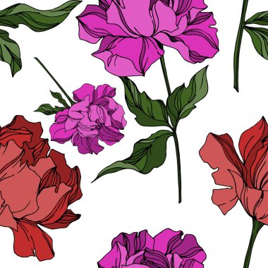 Vektör Şakayık Çiçek Botanik Çiçekleri. Siyah ve beyaz oymalı 