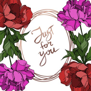 Vektör Şakayık Çiçek Botanik Çiçekleri. Siyah ve beyaz oymalı 