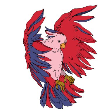 Vector Sky papağanı yalıtılmış bir yaban hayatında. Siyah ve beyaz