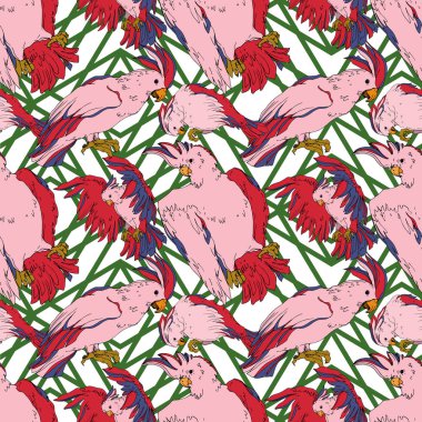 Vector Sky papağanı yalıtılmış bir yaban hayatında. Siyah ve beyaz