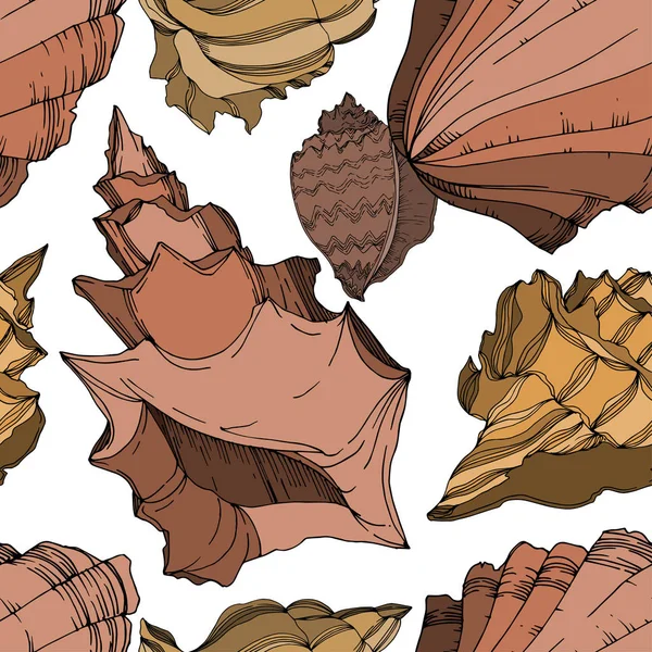 Vector Summer plaj kabuğu tropikal elementler. Siyah ve beyaz 
