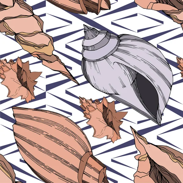 Vector Summer plaj kabuğu tropikal elementler. Siyah ve beyaz 