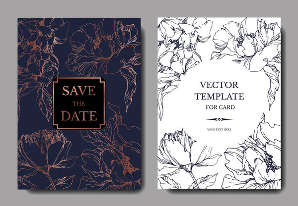 Vector Peony floral botanical flowers. Black and white engraved 